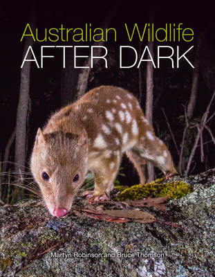 Australian Wildlife After Dark -  Martyn Robinson,  Bruce Thomson