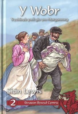 Cyfres Straeon Bywyd Cymru: 2. y Wobr - Siân Lewis
