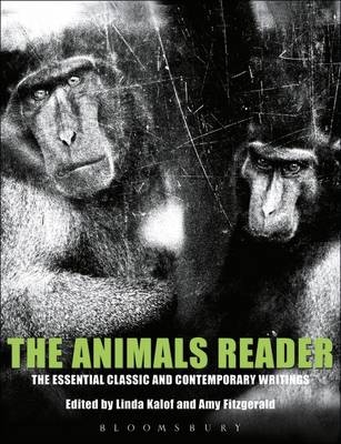 The Animals Reader - 