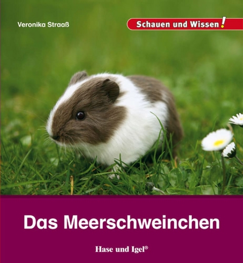 Das Meerschweinchen - Veronika Straaß