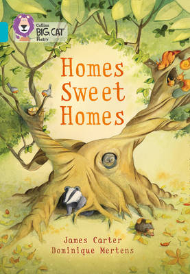 Homes Sweet Homes - James Carter