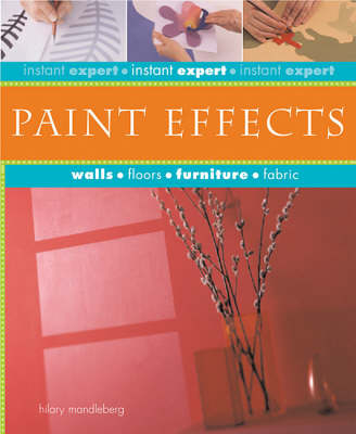 Instant Expert Paint Effects