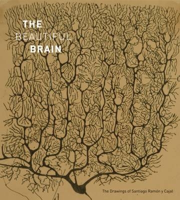 Beautiful Brain -  Alfonso Araque,  Eric Newman,  Janet M. Dubinsky,  Larry W. Swanson