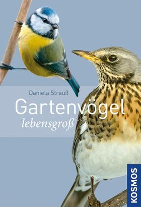 Gartenvögel lebensgroß - Daniela Strauß