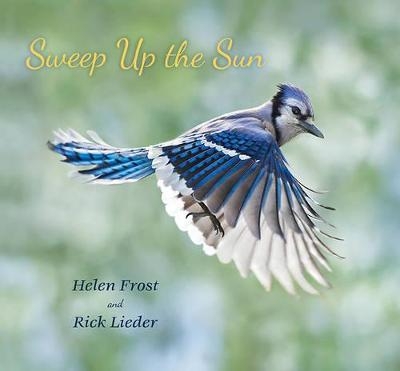 Sweep Up the Sun - Helen Frost