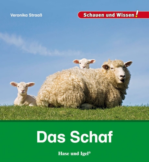 Das Schaf - Veronika Straaß