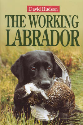 The Working Labrador - David Hudson