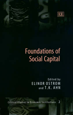 Foundations of Social Capital - 