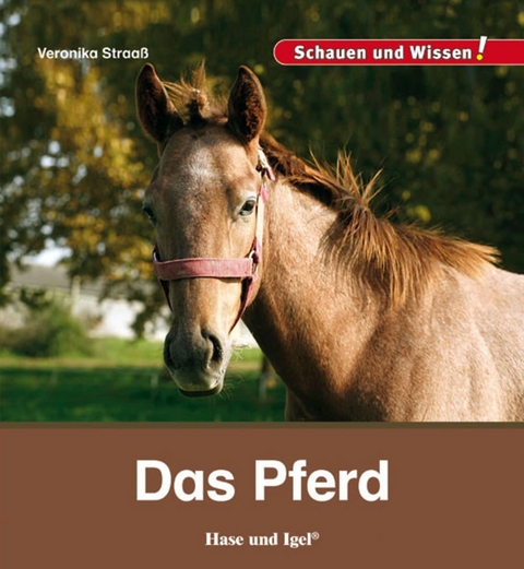 Das Pferd - Veronika Straaß