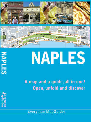 Naples City MapGuide