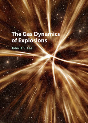 Gas Dynamics of Explosions -  John H. S. Lee