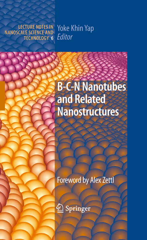 B-C-N Nanotubes and Related Nanostructures - 