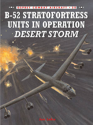 B-52 Stratofortress Units in Operation Desert Storm - Jon Lake