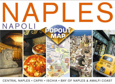 Naples PopOut Map -  Map Group