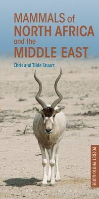 Mammals of North Africa and the Middle East -  Stuart Chris Stuart,  Stuart Tilde Stuart