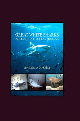 Great White Sharks Preserved in European Museums - Alessandro De Maddalena