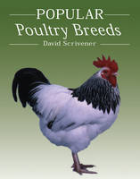 Popular Poultry Breeds - David Scrivener