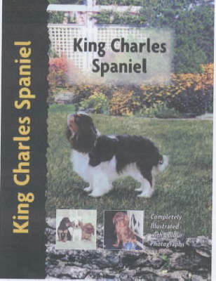 King Charles Spaniel - Lee Sherwin