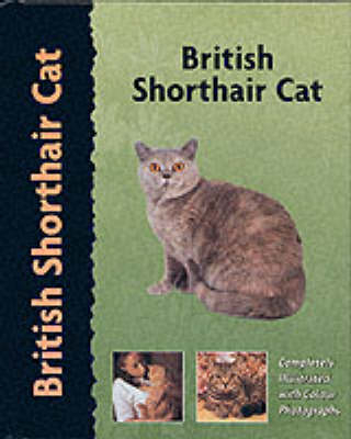 British Shorthair Cat - F.M. Rowley