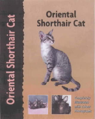 Oriental Shorthair Cat - Maria Graciete Coelho