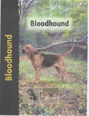 Bloodhound - Nona Kilgore Bauer