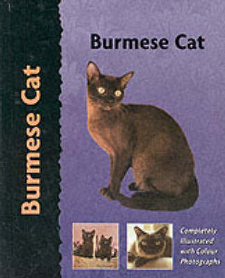 Pet Love Burmese Cat - D Kelsey-Wood