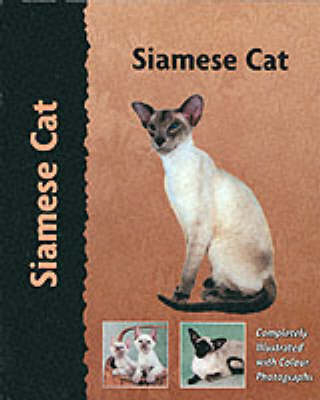 Siamese Cat - Denise Jones