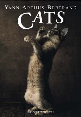 Yann Arthus-Bertrand's Cats - Yann Arthus-Bertrand