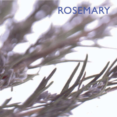 Rosemary -  Southwater