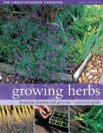 Growing Herbs - Jessica Houdret