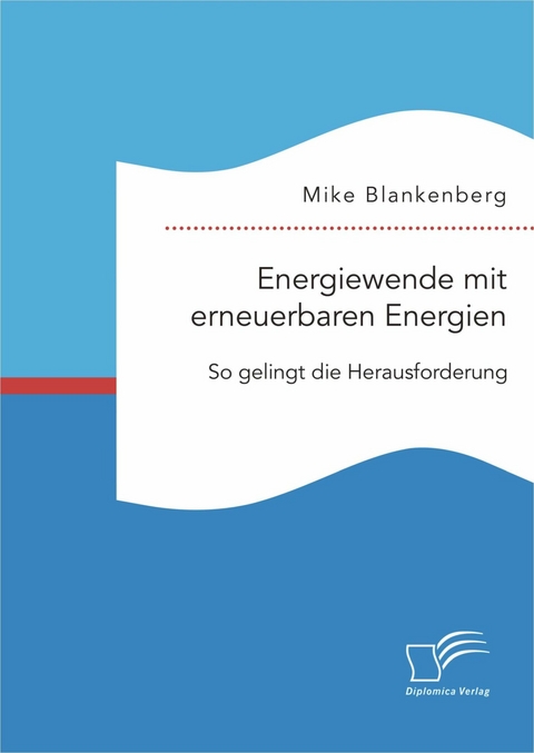 Energiewende mit erneuerbaren Energien: So gelingt die Herausforderung - Mike Blankenberg