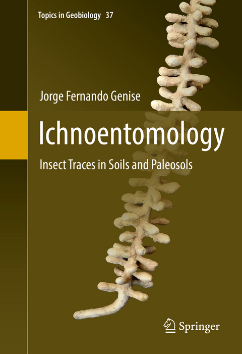 Ichnoentomology -  Jorge Fernando Genise