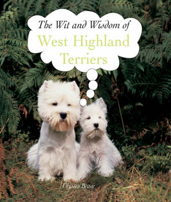 West Highlands Terriers - Ulysses Brave