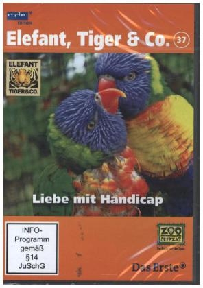 Elefant, Tiger & Co. - Liebe mit Handicap, 1 DVD