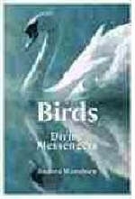 Birds - Andrea Wansbury