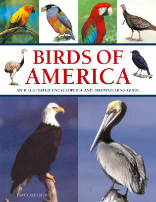 Birds of America - David Alderton