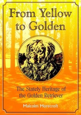 From Yellow to Golden - Malcolm Morecroft