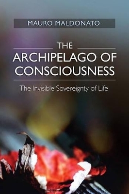 Archipelago of Consciousness - Mauro Maldonato