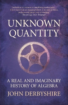 Unknown Quantity - John Derbyshire