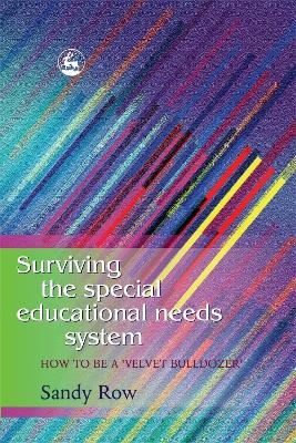Surviving the Special Educational Needs System - Sandy Row