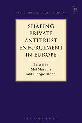 Shaping Private Antitrust Enforcement in Europe - 