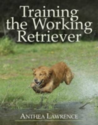 Training the Working Retriever - Anthea Lawrence