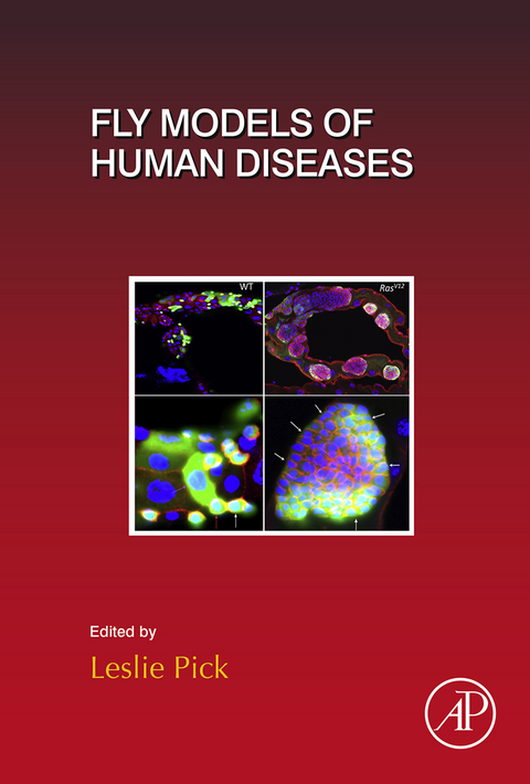 Fly Models of Human Diseases - 