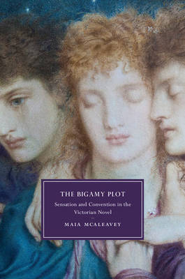 The Bigamy Plot - Maia McAleavey