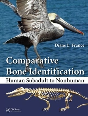Comparative Bone Identification - Diane L. France