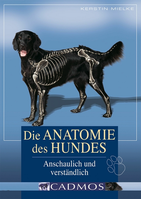 Die Anatomie des Hundes - Kerstin Mielke