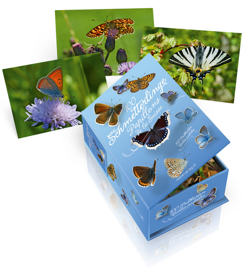 Postkartenbox 100 Schmetterlinge der Schweiz - Hans-Peter Wymann, Benno Jost