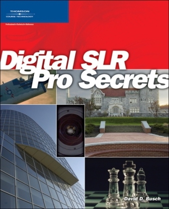 Digital SLR Pro Secrets - David D. Busch