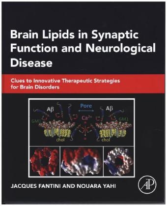 Brain Lipids in Synaptic Function and Neurological Disease - Jacques Fantini, Nouara Yahi