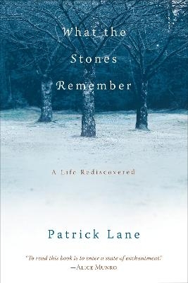 What the Stones Remember - Patrick Lane